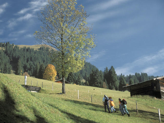 Appartamento Neukumhof Westendorf Esterno foto